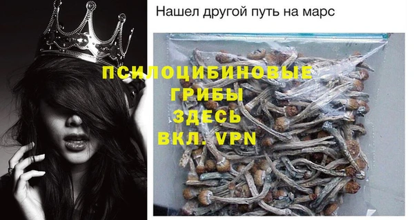 молекула духа Балахна